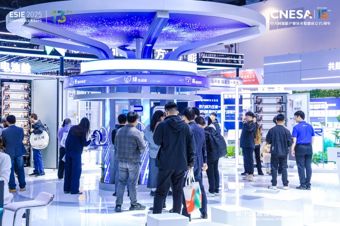 北京储能峰会 (7).jpg