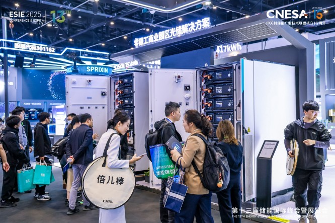 北京储能峰会 (10).jpg