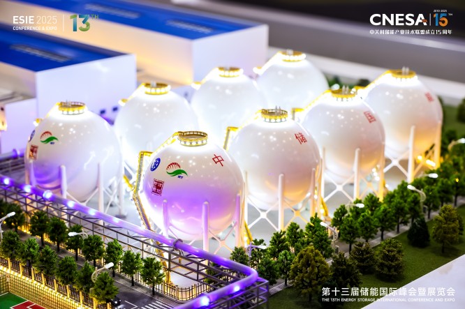 北京储能峰会 (18).jpg